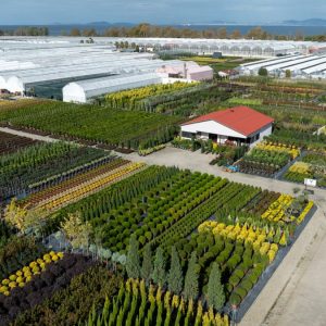 Sprawling greenhouses and fields in Yalova, Türkiye, captured from above on a clear day.